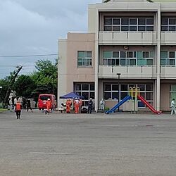 【最新】宇都宮に出没のクマ、再び市街地に出たか 小学校でドローン捜索 宇都宮大学構内に確認されず