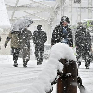 盛岡では雪でも傘を差さない？　仮説...雪の日が多過ぎ　“北国のプライド”との声も