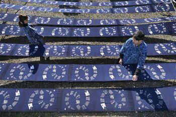 藍染めに浮かぶ、縁起の良い「巳」 大田原で壁掛け作り最盛期｜県内