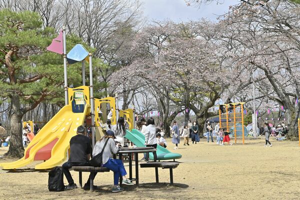 那須塩原市の黒磯公園は五咲きほど＝７日午後