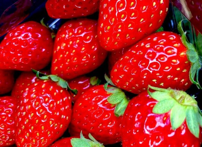 好きな果物を聞いた項目で最多だった「イチゴ」