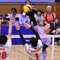レーヴィス栃木、今季最長7連勝 TM東京に3ー0 市貝出身の渡辺優真Vリーグデビュー