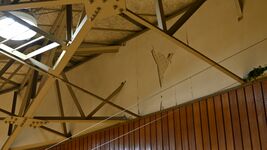 真岡市で震度5弱、栃木県内で約2年ぶり　水道に濁り発生の地域も、宇都宮高校など県立5高校で建物被害