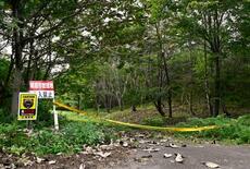 宮城のクマ被害女性、発見できず
