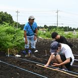 ひまわり大作戦！実家農地を新名所に　鹿沼の中学教諭野中さん　「東日本大…