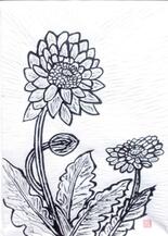 作品募集