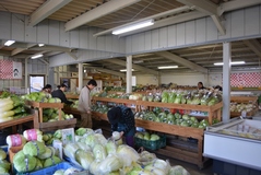 農産物直売所「四季彩」　ＪＡおやま　店内埋める四季の彩り