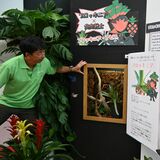 「食虫戦士タベンジャー」が楽しく紹介　食虫植物50種150株を展示　とちぎ花センターが企画展