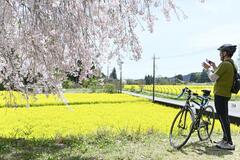 耕作放棄地 春の彩り
