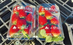 まるごと甘く酸味も少なめJAおやま のぎ松原大橋農産物直売所