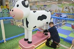 人気遊具 屋内にずらり　