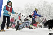スノードッグラン　那須