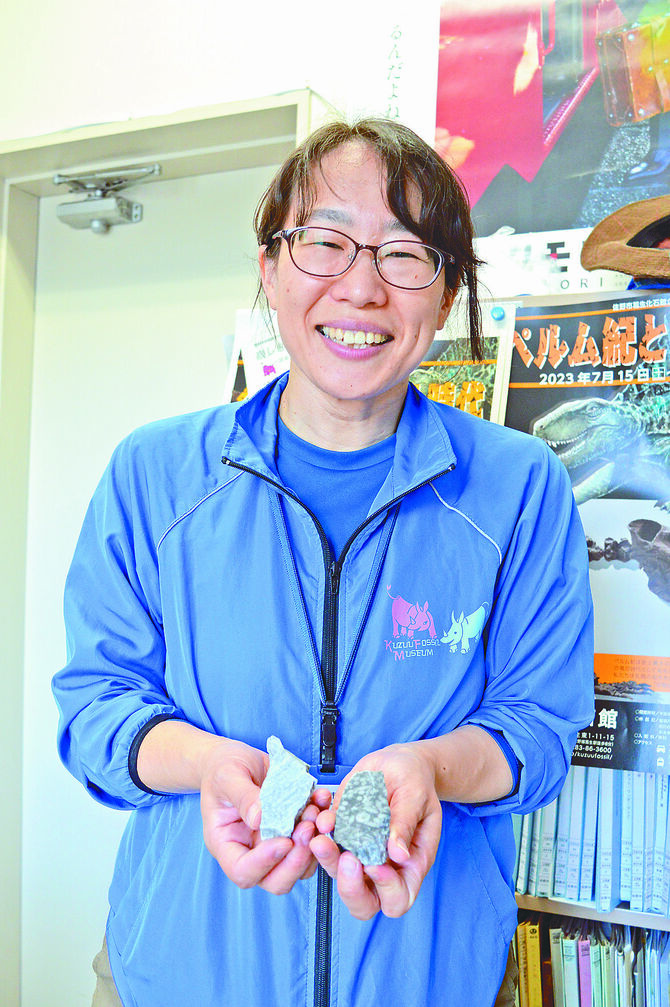 奥村よほ子学芸員。フズリナ化石。紙やすりで磨いたもの（右）。化石の構造が分かりやすくなっている