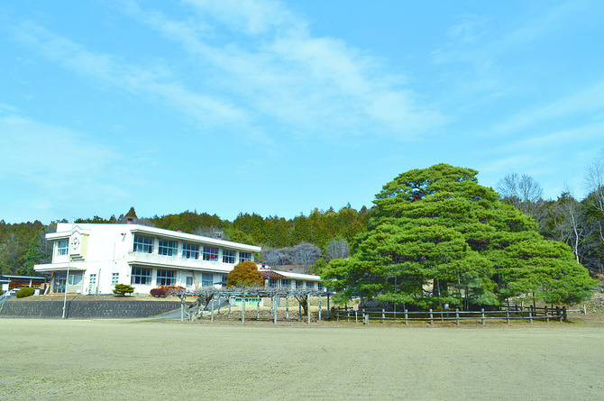 旧穂積小校舎とシンボルのアカマツ「穂積のマツ」
