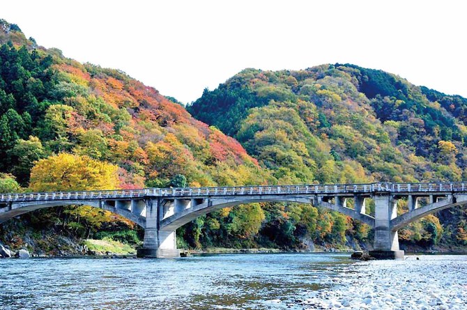 【例年の見ごろ】11月上旬~下旬 【住所】那須烏山市宮原