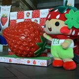 巨大イチゴお目見え　28日まで県庁でオブジェ展示