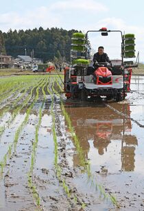 県内で田植えスタート