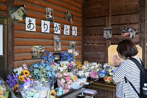 園内に設けられた献花台