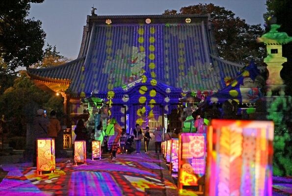 色鮮やかな足利銘仙柄の模様が浮かび上がった鑁阿寺の本堂＝29日午後５時15分、足利市家富町