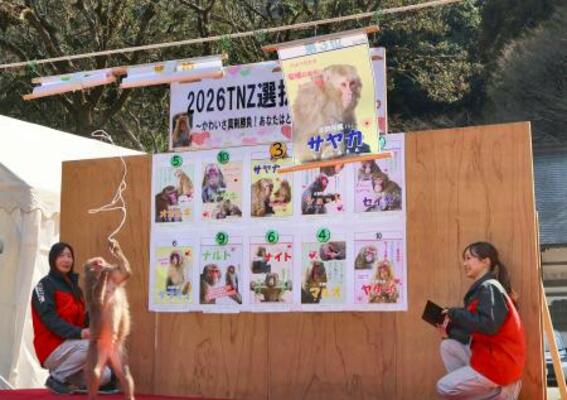 高崎山自然動物園で行われたサルの人気ナンバーワンを決める「選抜総選挙」の結果発表=21日午後、大分市