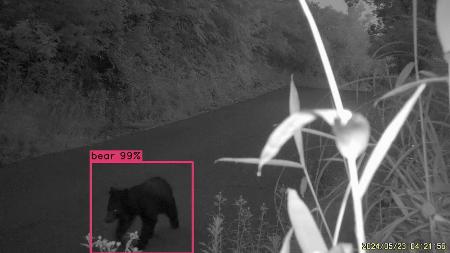 　カメラの画像から人工知能（ＡＩ）がクマを検知する様子＝石川県小松市（小松市提供）