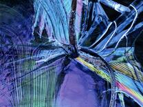 銅賞　「満開の氷花」