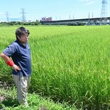 米価大幅下落を懸念　コメ増産方針に栃木県内農業関係者　原料安定確保へ期…