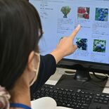 “一本足打法”の福岡県「ポストあまおう」もまた、あまおう