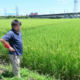 米価大幅下落を懸念　コメ増産方針に栃木県内農業関係者　原料安定確保へ期待の声も