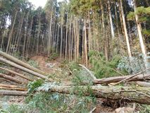 送水管破損で稲作４町1000ヘクタールに影響も　栃木県・芳賀台地土地改良区