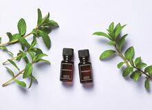 心の切り替えを助ける