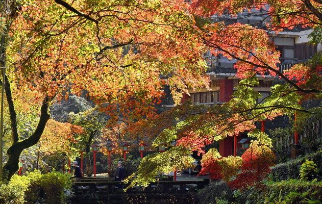 最終盤を迎えた満願寺周辺の紅葉＝22日午前10時35分、栃木市出流町