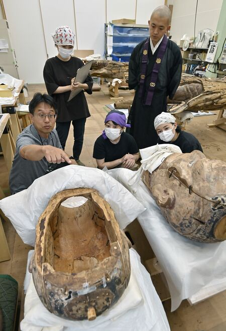解体した面部の木材を調査する大山助教