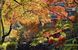 最終盤を迎えた満願寺周辺の紅葉＝22日午前10時35分、栃木市出流町