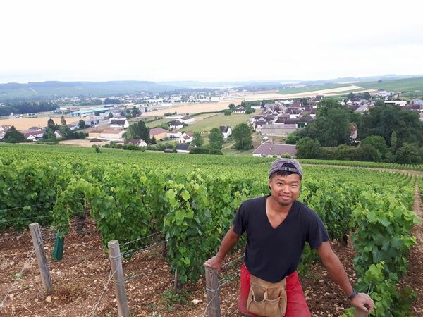 フランスのブルゴーニュのブドウ畑で作業する岩崎さん＝２０１８年７月