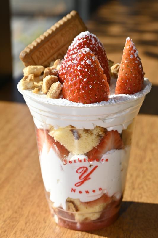 こゆき◡̈*❤︎さまご購入品 プラスチック鉢 いちごパフェＡB C D おまとめ4点 こゆき◡̈*❤︎さまご購入品 プラスチック鉢 いちごパフェAB C D お