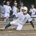 秋季関東高校野球栃木県勢総評 4強・佐野日大はエースが躍動 文星付はミス響く 他県強豪校と体格差も