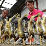大田原・黒羽観光やながきょうオープン　清流の味・アユの塩焼き、釜飯など…