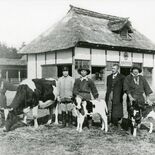 わがまちの変遷　那須塩原・酪農　首都圏近く“王国”発展