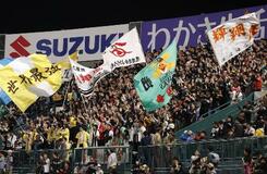 現地観戦、最多はプロ野球