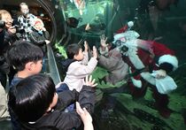 なかがわ水遊園で「サンタの水中散歩」