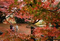 大田原・御殿山公園の紅葉