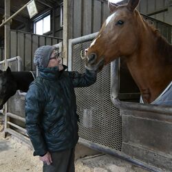 馬に寄り添い半世紀　栃木の乗馬クラブ・ミカモＲＣの川俣さん「馬と触れ合う楽しさ伝えたい」