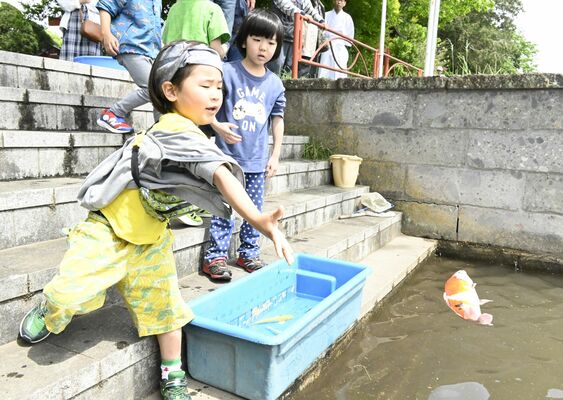 川魚を放流する子どもたち＝５日午前、真岡市東郷