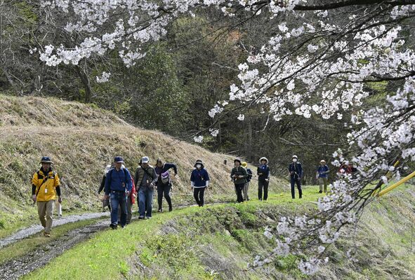 里山の風景を楽しみながら未成線を歩く参加者たち