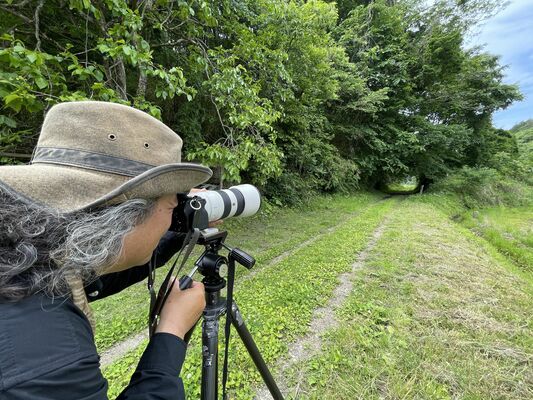５月に長倉線を訪れて写真を撮影する中井さん
