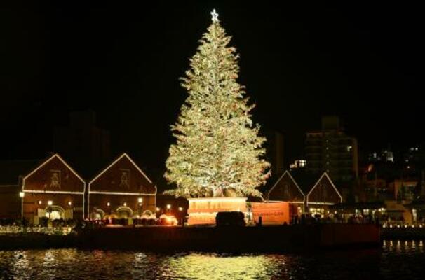 　北海道函館市の赤レンガ倉庫前で点灯された巨大クリスマスツリー＝２９日夜