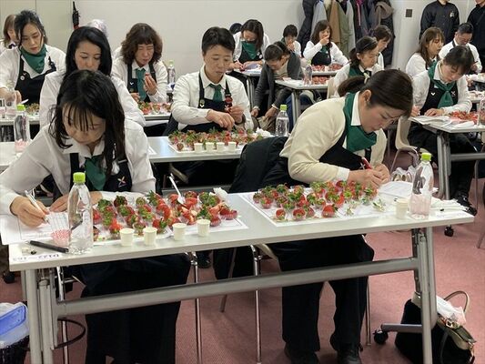 審査の様子。56人の野菜ソムリエが食味だけで145品のイチゴを評価した