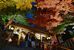 ライトアップされた唐澤山神社山門のモミジ＝26日午後５時５分、佐野市富士町