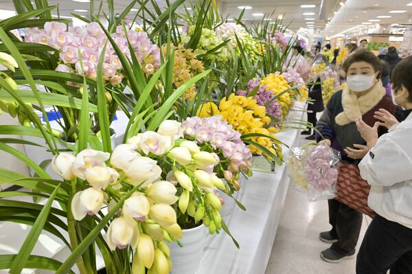 色鮮やかなシンビジウムを買い求める来場者